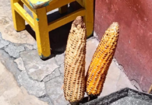 Roasted corn on the cob, a tradition that lives on in San Cristóbal de Las Casas