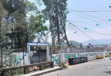 Environmentalists denounce possible ecocide in San Cristóbal wetlands area