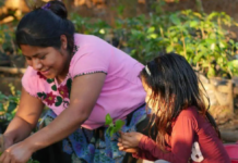 “I died to be reborn”: The powerful indigenous documentary that shakes the roots of machismo in Chiapas