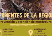 Snake Festival to Come to San Cristóbal with Educational Activities