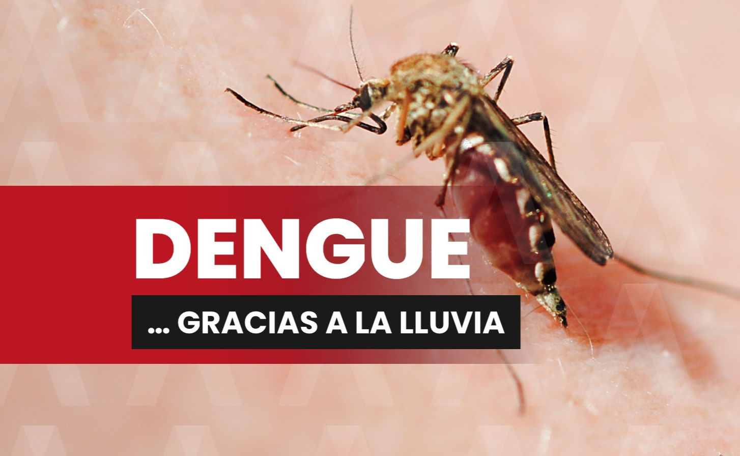 Dengue in Chiapas: July rains raise risk, and health authorities reinforce teams.