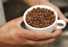 Chiapas declares November 24th as Chiapas Coffee Day