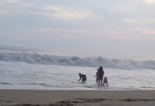 Due to tsunami risk, the Mexican Navy (Semar) is asking people not to go to beaches in Chiapas and Tabasco.