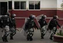 Over 60,000 Migrants Remain Stranded in Tapachula, Chiapas, Denounces Activist Luis Garcia Villagran