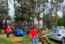 Rare Tornado and Severe Hailstorm Leave Trail of Material Damage in San Cristobal de Las Casas