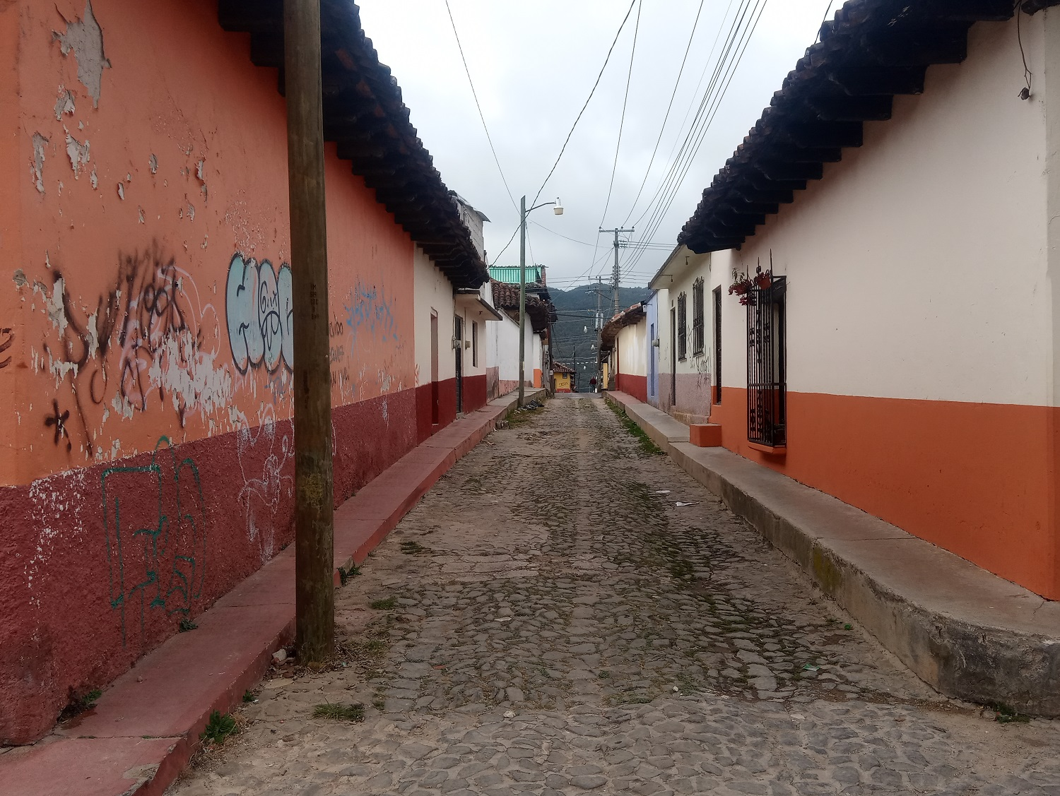 Journey to the Coast of Chiapas I