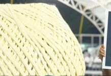 Pijijiapan Reclaims Guinness World Record with Massive 1,613-Kilogram Quesillo Ball